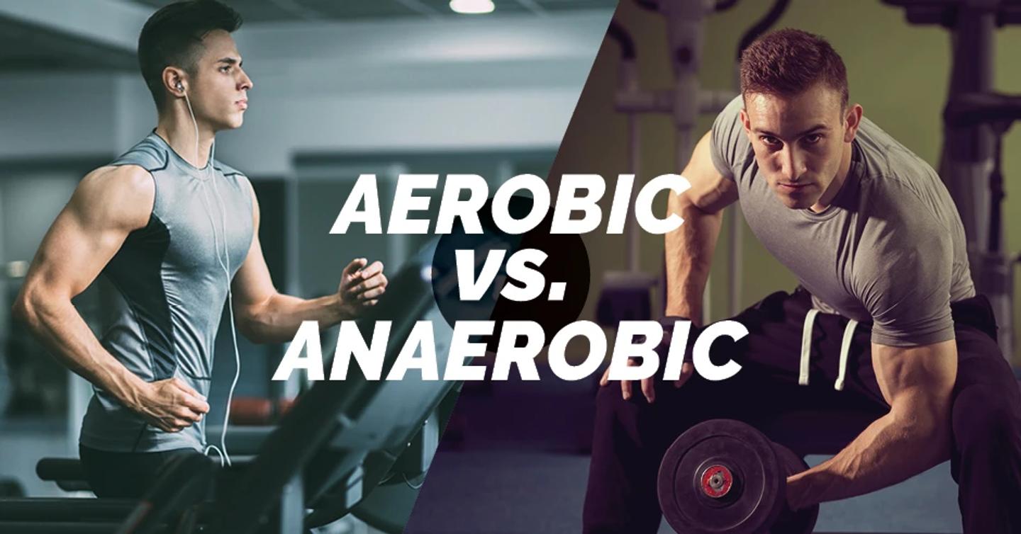 Aerobic vs. Anaerobic: How Do Workouts Change the Body?