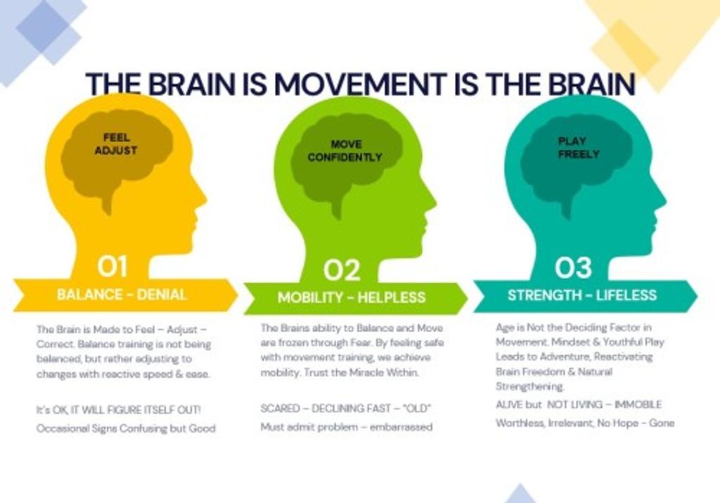 The brain is movement is the brain Infographic