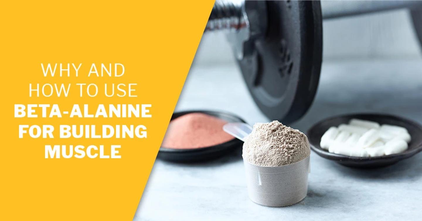 ISSA, International Sports Sciences Association, Certified Personal Trainer, ISSAonline, Why and How to Use Beta-Alanine for Building Muscle
