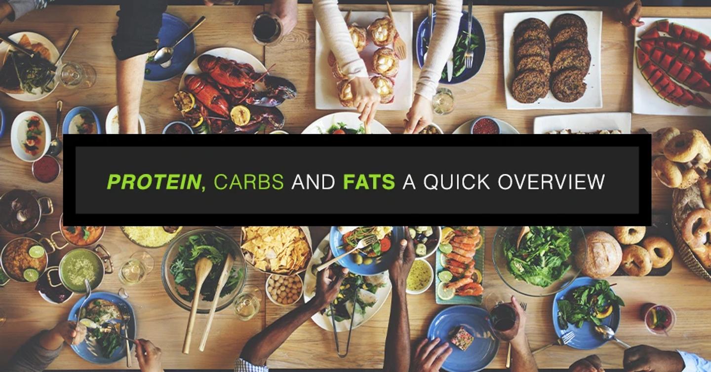 Protein, Carbs, and Fats: A Quick Overview 