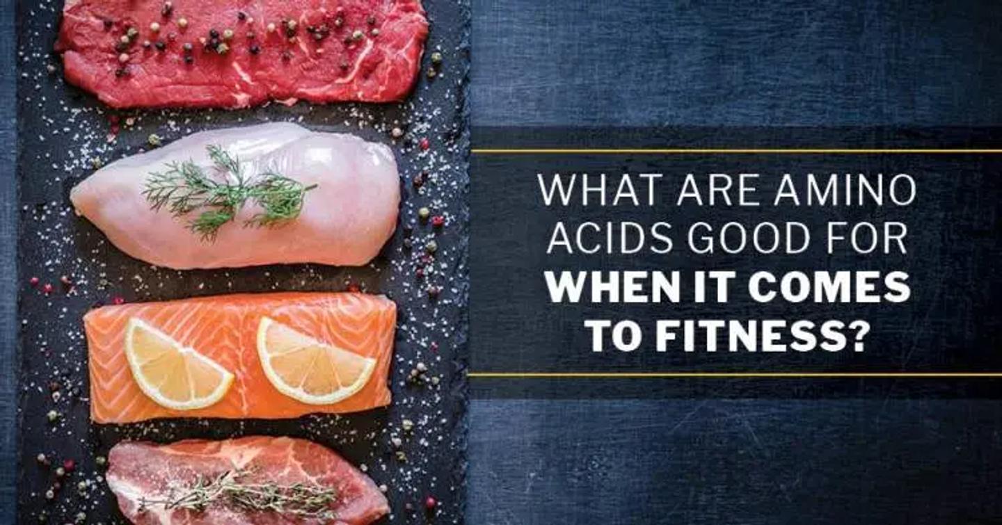 ISSA, International Sports Sciences Association, Certified Personal Trainer, ISSAonline, What Are Amino Acids Good for When It Comes to Fitness?