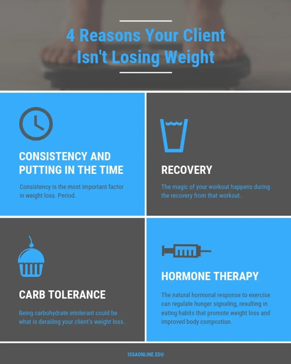 ISSA, International Sports Sciences Association, Certified Personal Trainer, ISSAonline, Nutrition, 4 Reasons Your Client Isn't Losing Weight,Client Handout, Infographic