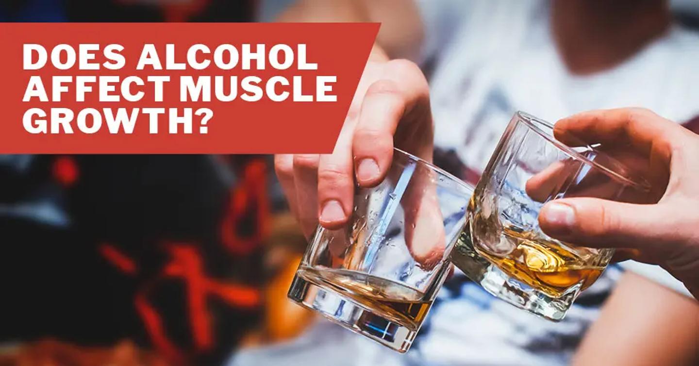 ISSA, International Sports Sciences Association, Certified Personal Trainer, Alcohol, Muscle, Does Alcohol Affect Muscle Growth? 