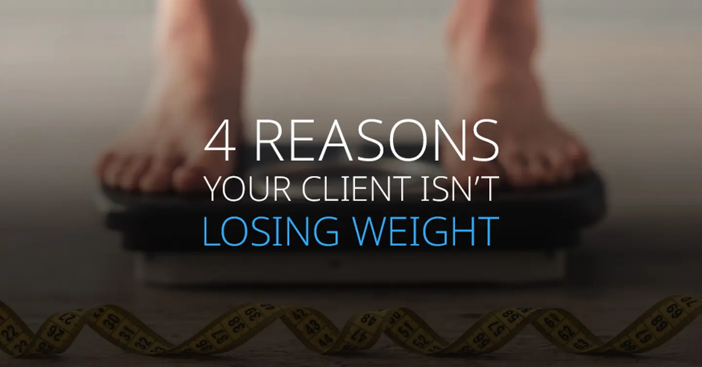 ISSA, International Sports Sciences Association, Certified Personal Trainer, ISSAonline, Nutrition, 4 Reasons Your Client Isn't Losing Weight