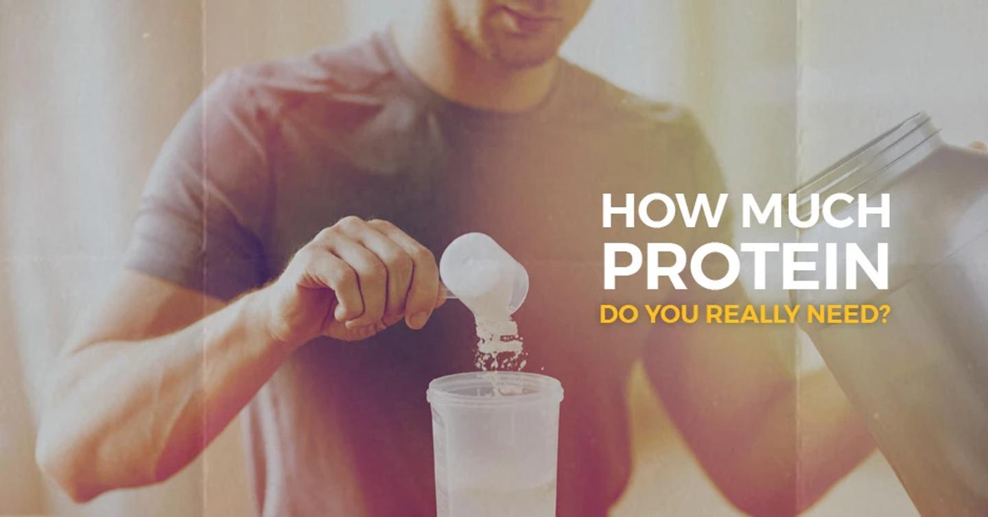 ISSA, International Sports Sciences Association, Certified Personal Trainer, Protein, Myth, Is it true that too much protein can be bad for your health?, Nutrition