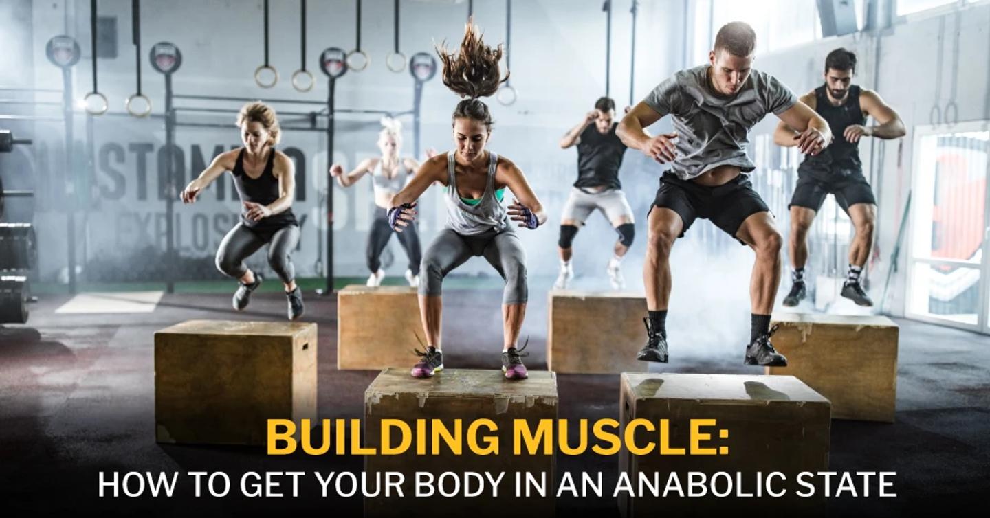 ISSA, International Sports Sciences Association, Certified Personal Trainer, Building Muscle, Strength Training, Anabolic State, Building Muscle: How to Get Your Body in an Anabolic State