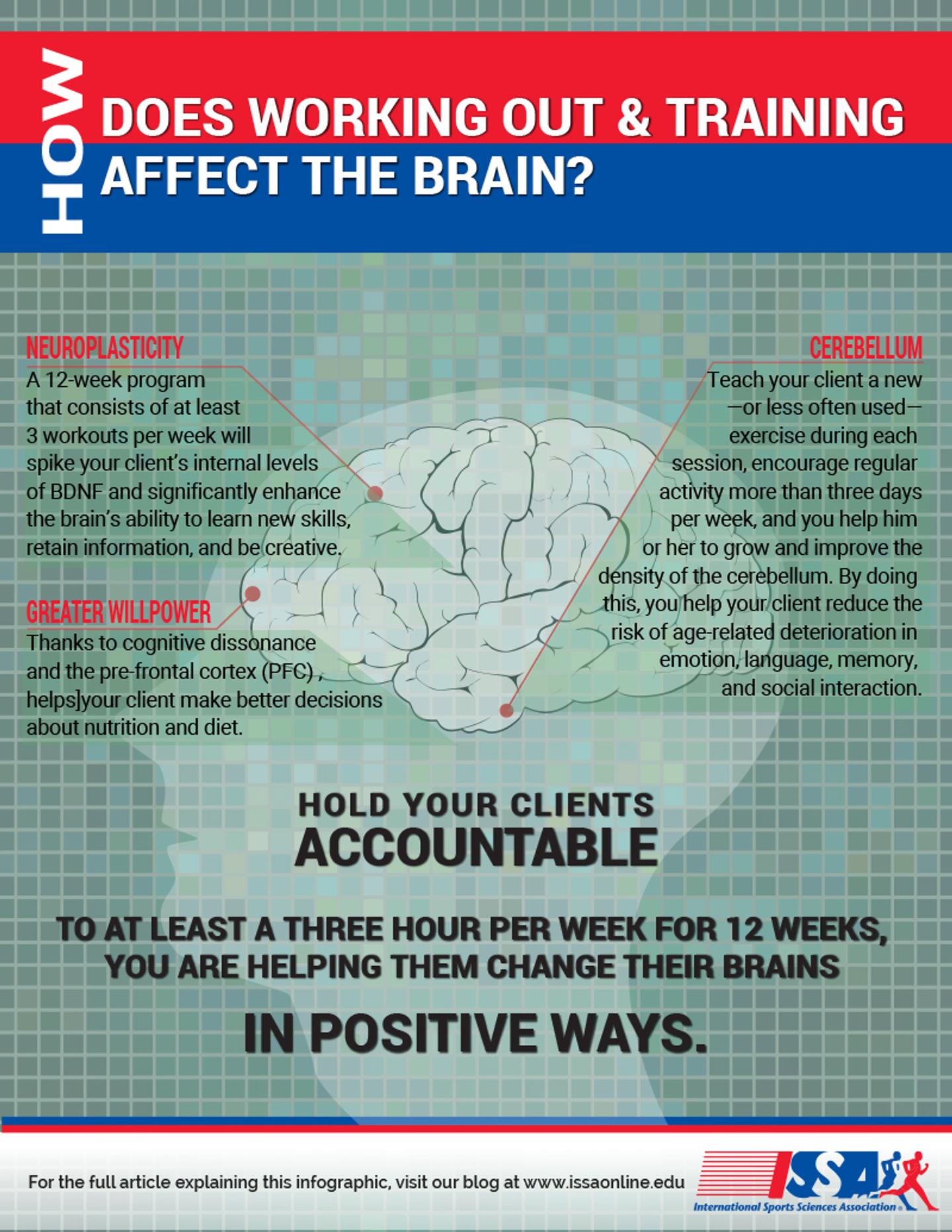 ISSA exercise and connections in the-brain infographic image