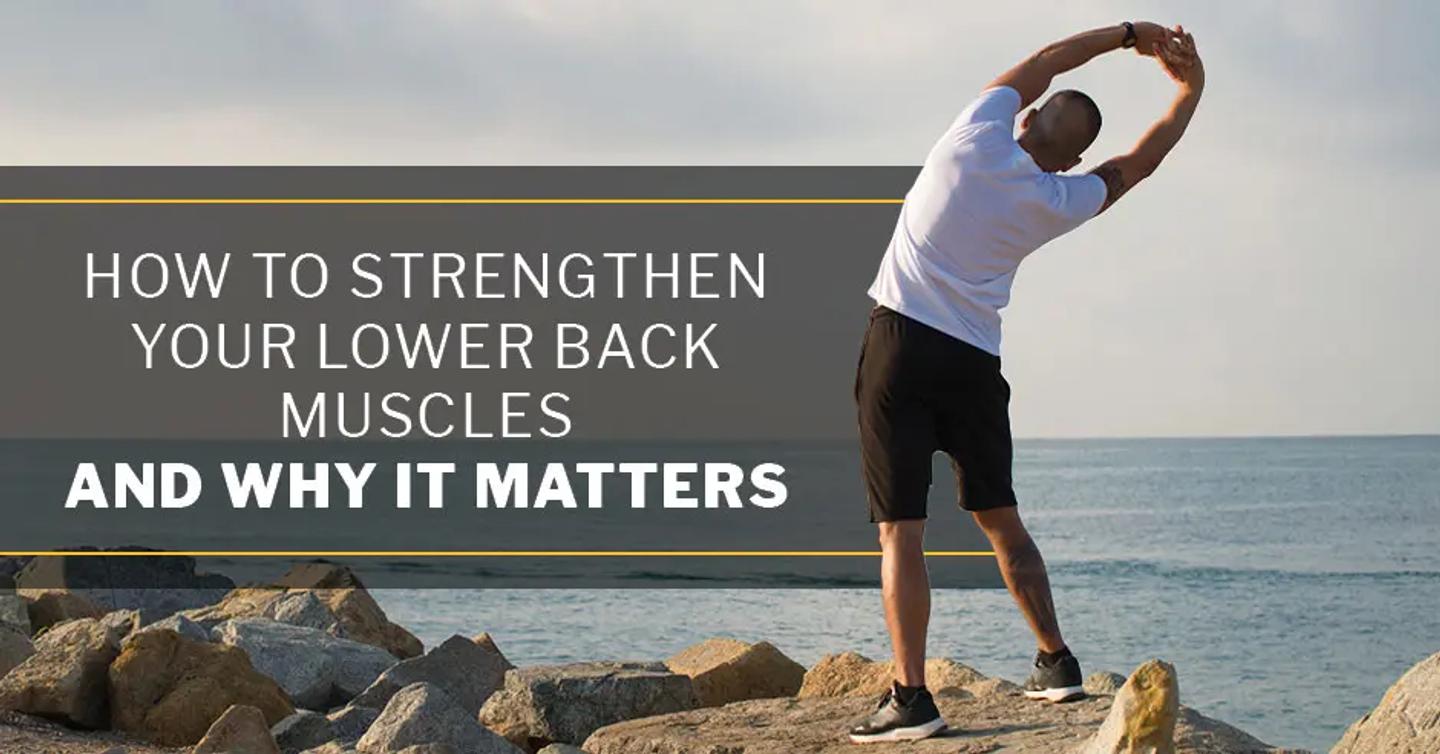 ISSA, International Sports Sciences Association, Certified Personal Trainer, ISSAonline, How To Strengthen Your Lower Back Muscles & Why it Matters