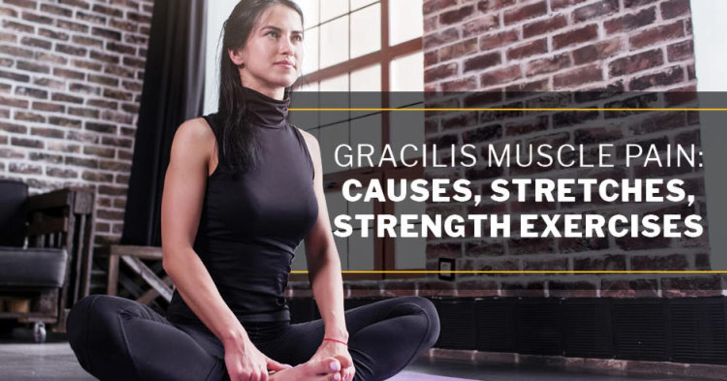 ISSA, International Sports Sciences Association, Certified Personal Trainer, ISSAonline, Gracilis Muscle Pain: Causes, Stretches, Strength Exercises
