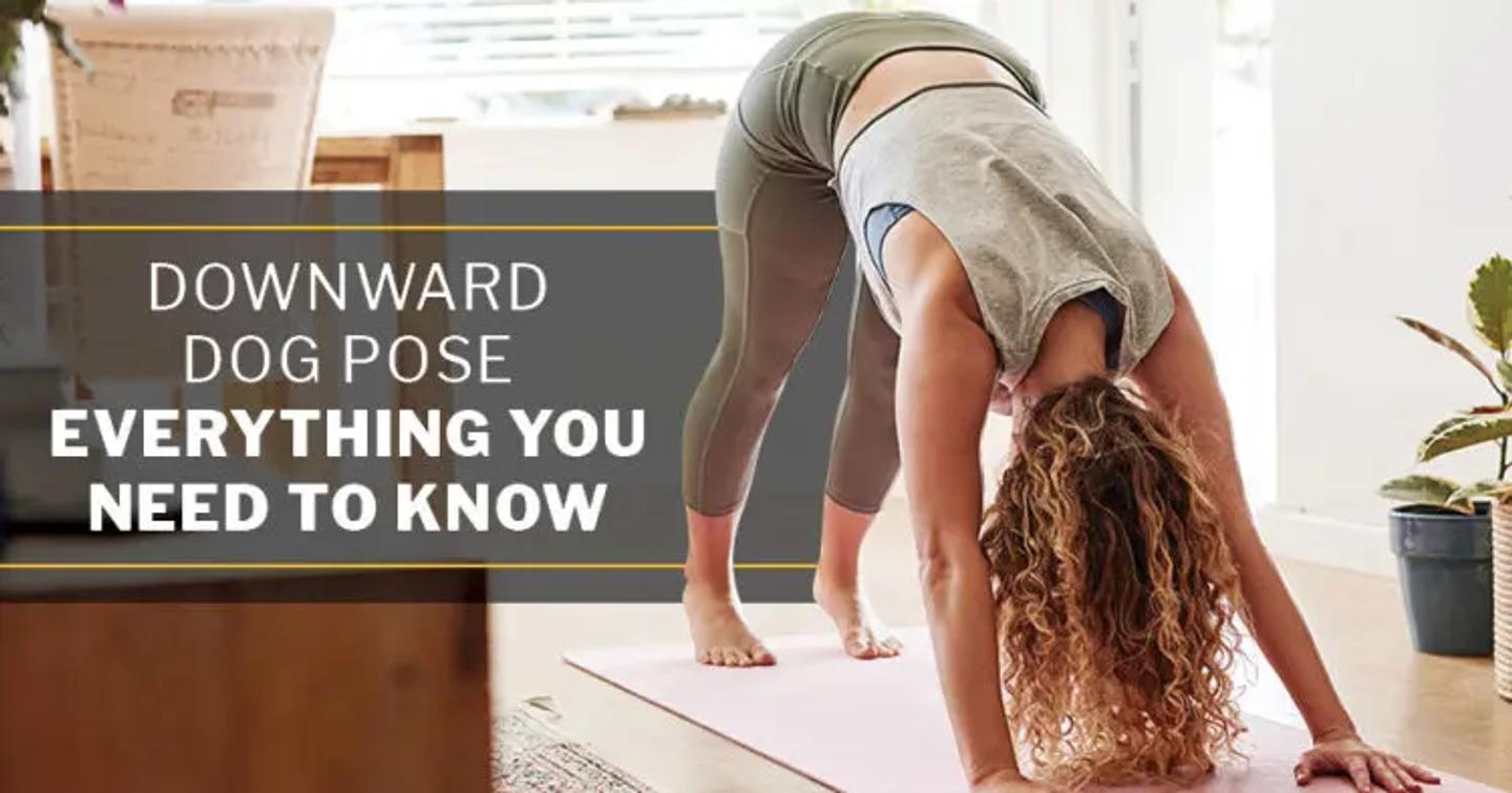 ISSA, International Sports Sciences Association, Certified Personal Trainer, ISSAonline, Downward Dog Pose – Everything You Need to Know