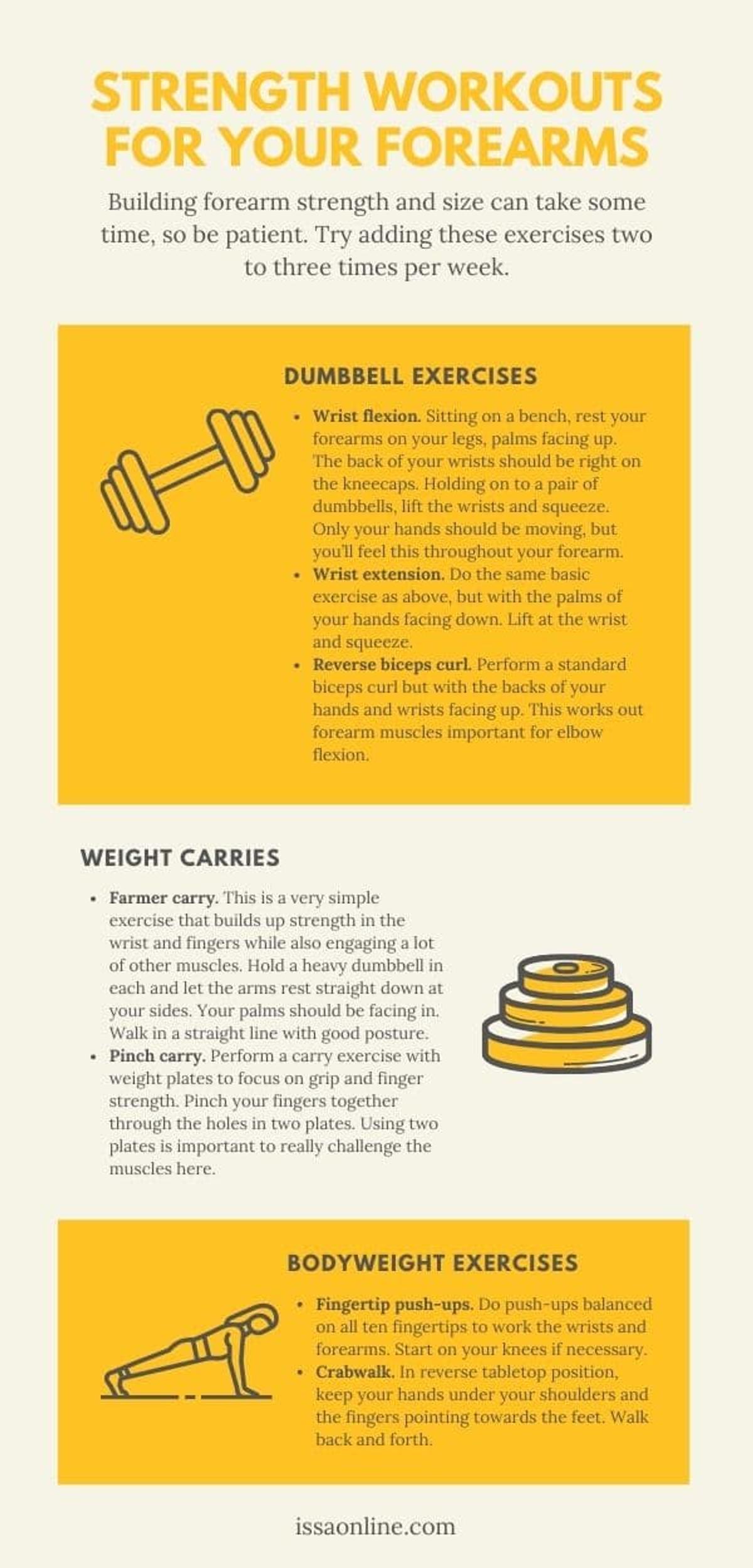 ISSA, International Sports Sciences Association, Certified Personal Trainer, ISSAonline, How to Get Bigger Forearms with a Few Simple Exercises, Infographic