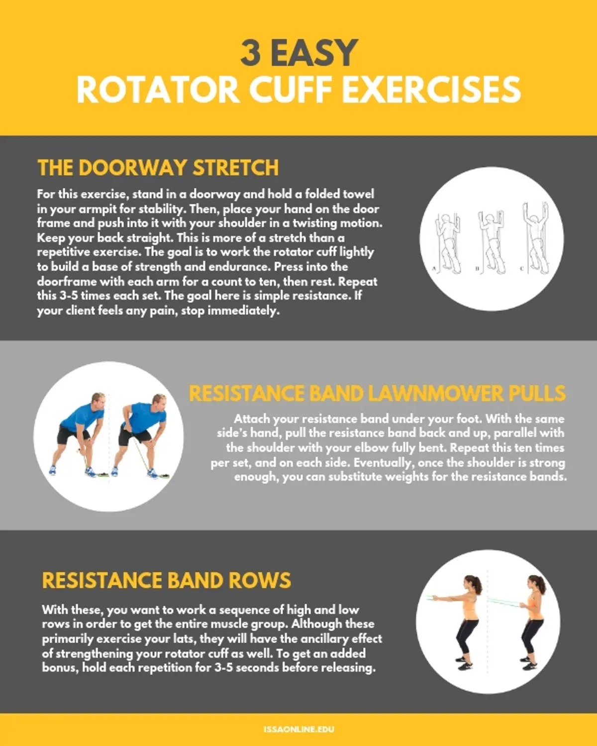 Rotator Cuff Exercises 