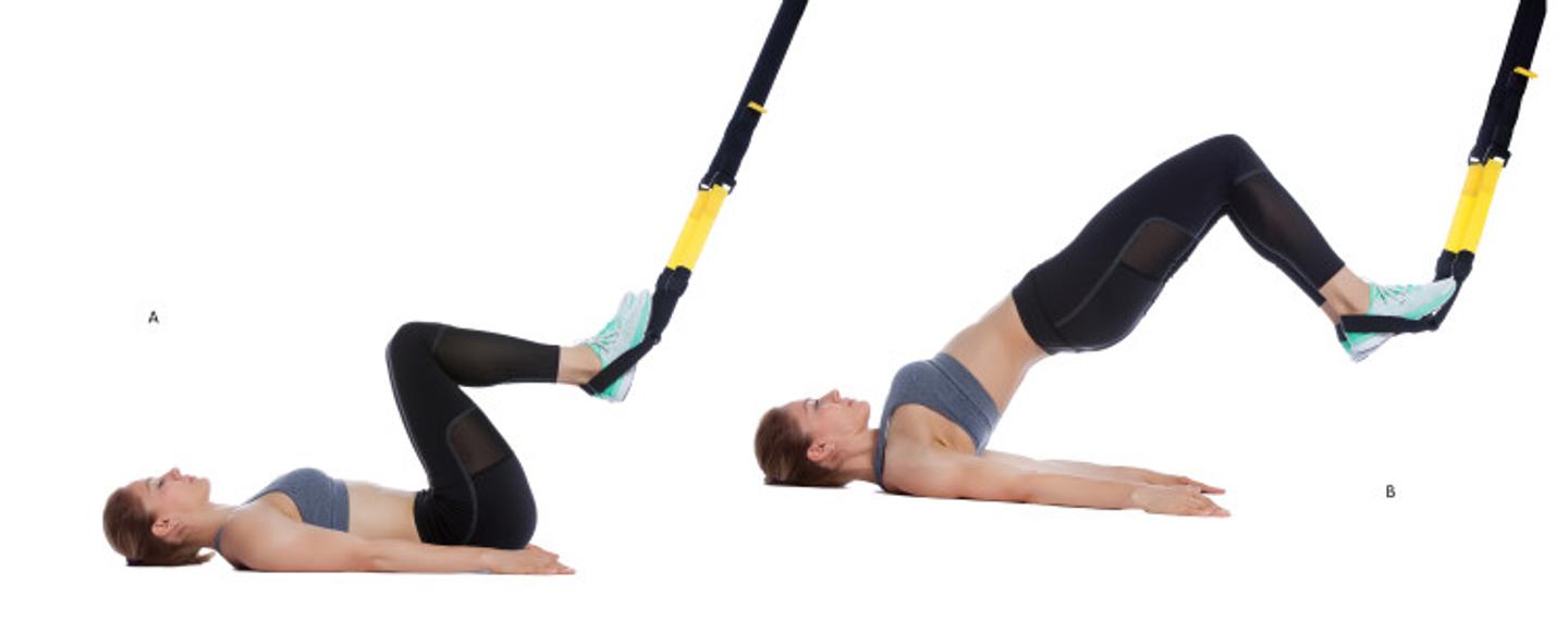 ISSA, International Sports Sciences Association, Certified Personal Trainer, ISSAonline, ISSA x TRX: Best TRX Exercises to Enhance Your Training Hip Bridges
