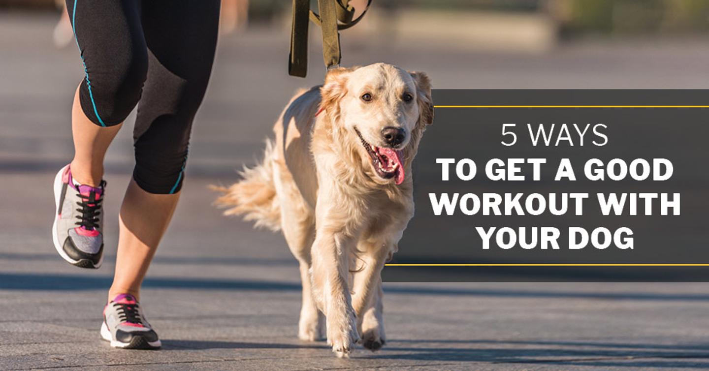 ISSA, International Sports Sciences Association, Certified Personal Trainer, ISSAonline, 5 Ways to Get a Good Workout with Your Dog