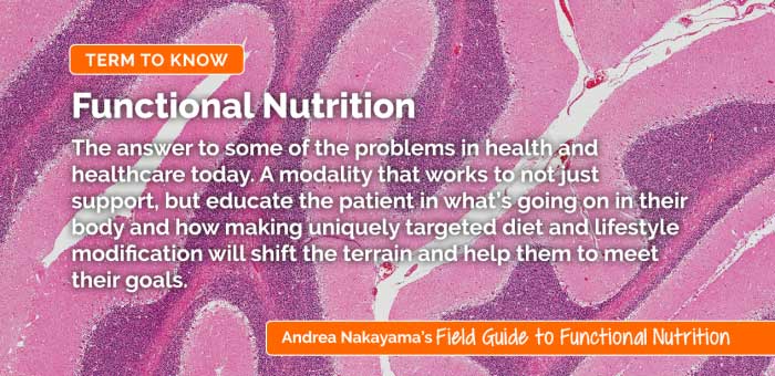 What is Functional Nutrition? Everything You Need to Know - Blog Image