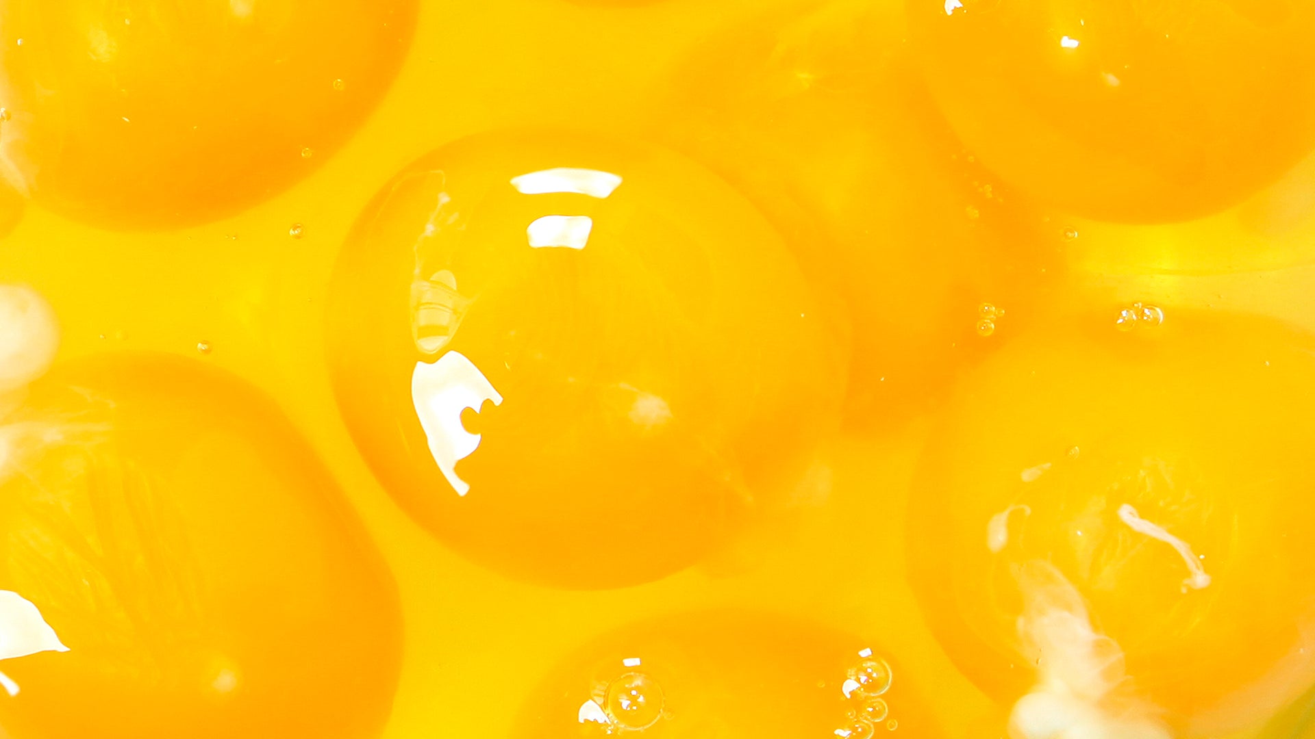 FXNA | Protein: The Functional Nutrition Benefits of Nature’s Building Blocks