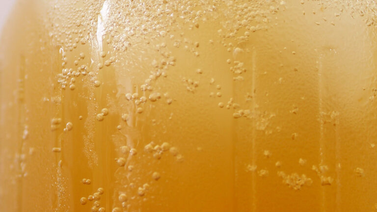 Start with the Gut - Blog Image