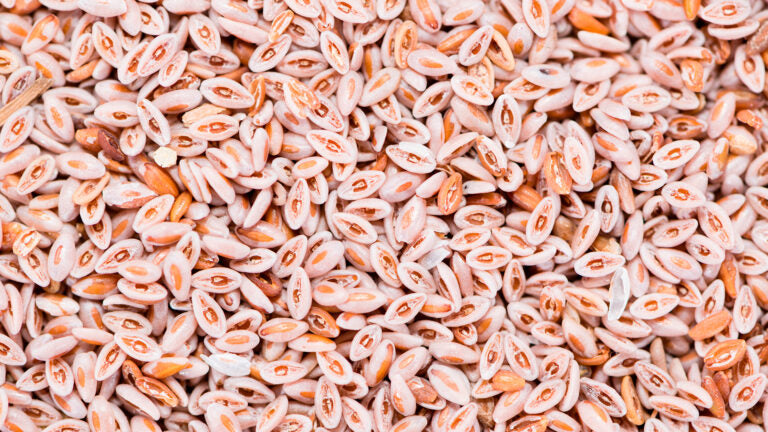 Psyllium Husk for Husky Poop - Blog Image