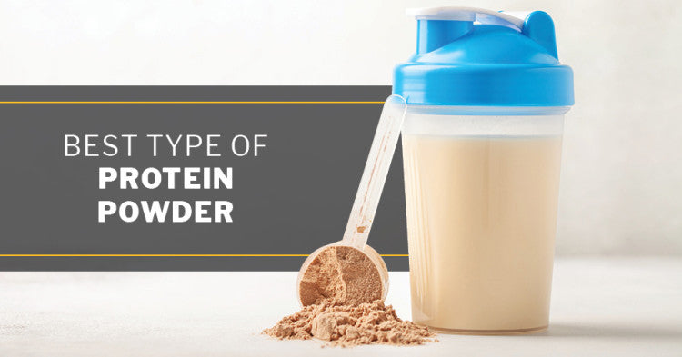 ISSA, International Sports Sciences Association, Certified Personal Trainer, ISSAonline, Protein Powder The 2023 Comprehensive Guide