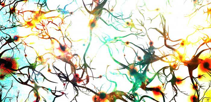 Clinical Quickie: choline and memory - Blog Image