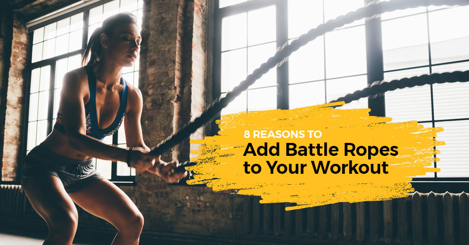 ISSA, International Sports Sciences Association, Certified Personal Trainer, Battle Ropes, Top 8 Reasons to Add Battle Ropes to Your Clients' Training