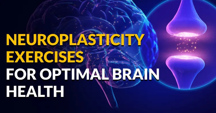10 Neuroplasticity Exercises for Optimal Brain Health