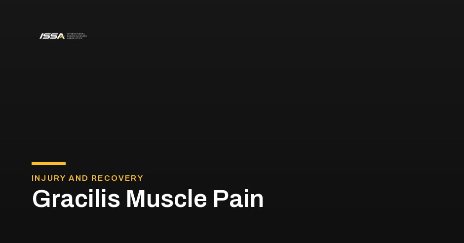 An illustration of the inner-thigh gracilis muscle running from the pelvis to the inner knee.