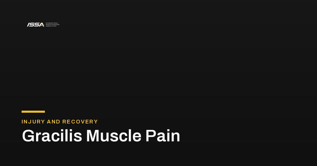 Gracilis Muscle Pain