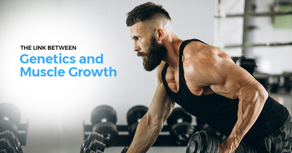 blog-issa-muscle-growth