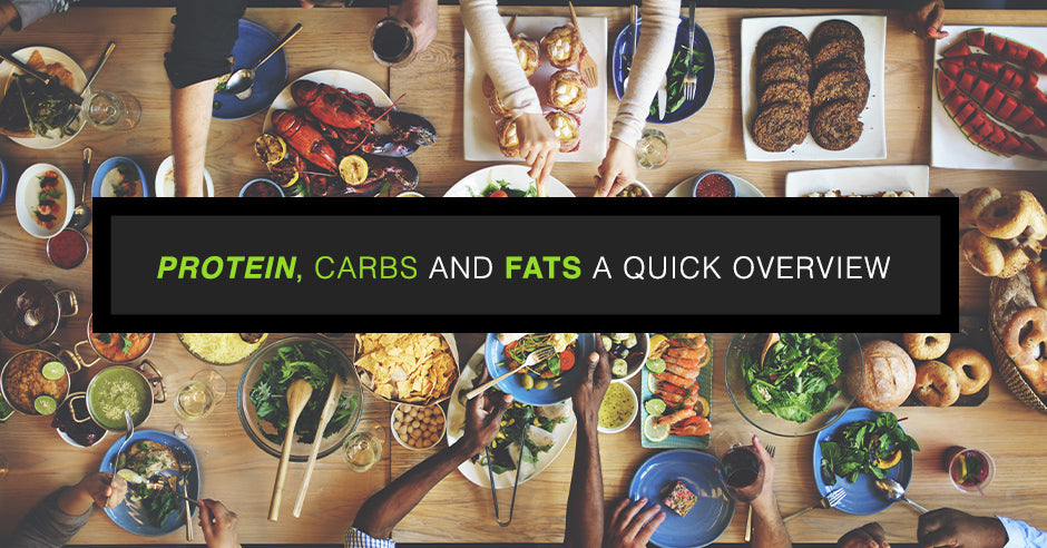 Protein, Carbs, and Fats: A Quick Overview