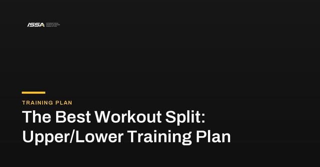 The Best Workout Split: Upper/Lower Training Plan